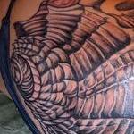 Tattoos - Seashell Design - 143771